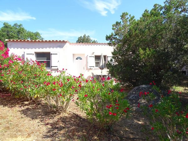 appartement-4-personnes-confort-exterieur-1-residence-ribellinu